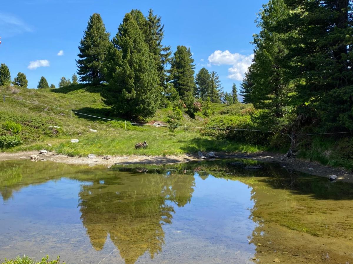 Landhaus Rieder Im Zillertal Apartment Aschau Im Zillertal Luaran gambar